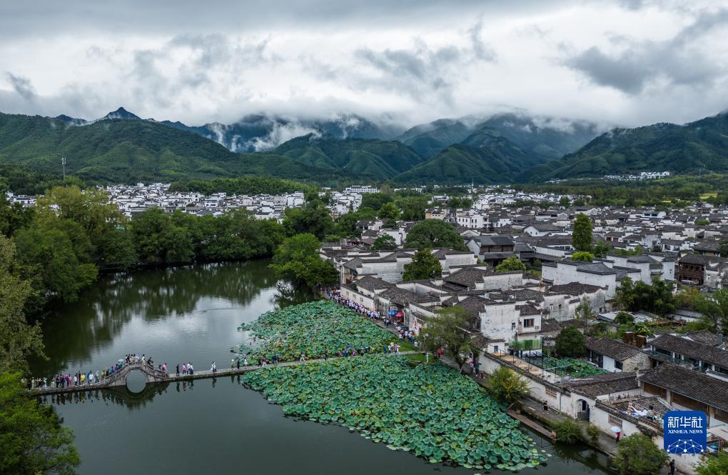 摇钱树高手论坛